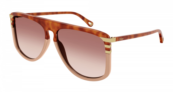 Chloe Fashion Sunglasses Havana Havana Orange