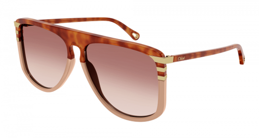 Chloe Fashion Sunglasses  Havana Havana Orange